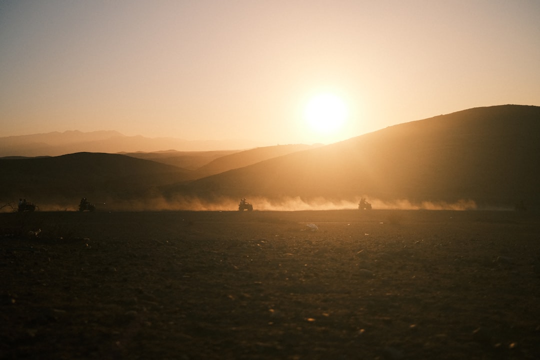 Palmeraie — Quad & Camel — photo 3 of 3