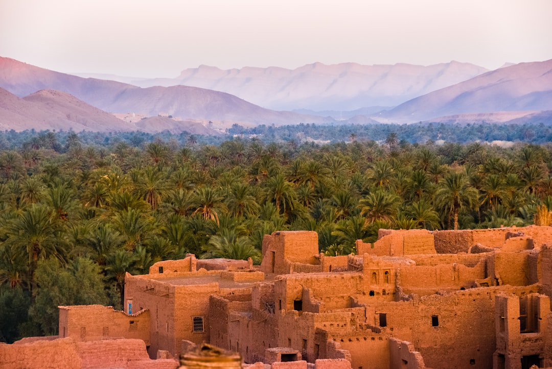Ouarzazate & Aït Ben Haddou — Day Trip — photo 2 of 2
